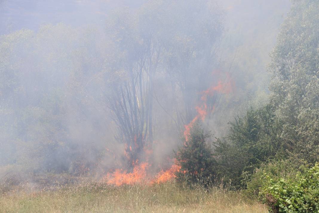 Elazığ'da orman yangını 35